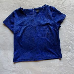 Blue and black crop top